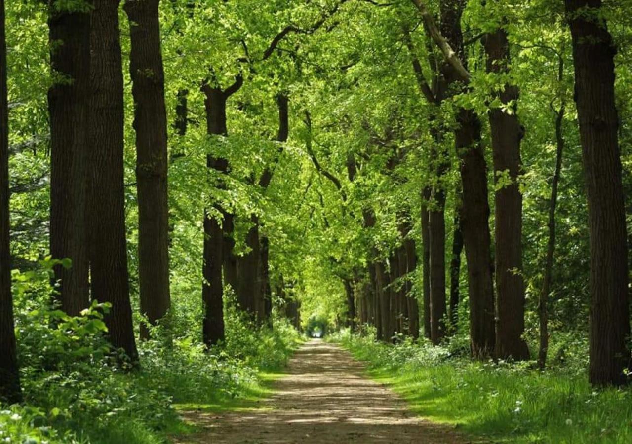 Vakantiehuis Doelestee Balk Exteriér fotografie